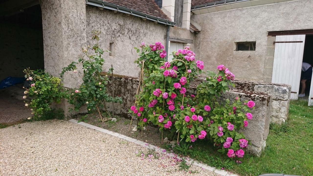 Longere Du Sud Touraine Au Coeur Du Val De Loire Villa Saint-Jean-Saint-Germain Luaran gambar