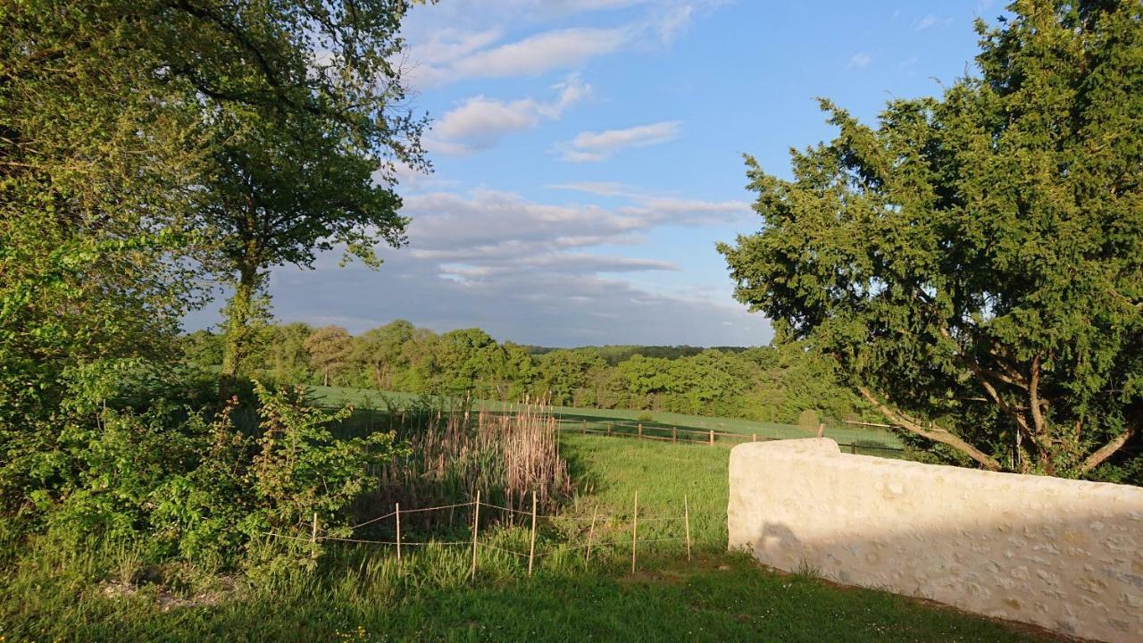 Longere Du Sud Touraine Au Coeur Du Val De Loire Villa Saint-Jean-Saint-Germain Luaran gambar